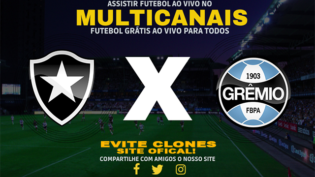 Assistir Botafogo x Grêmio AO VIVO Online 28/09/2024